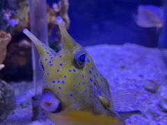 -太平洋海底世界