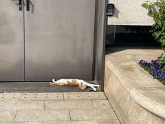 -珠海市博物馆