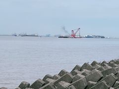 -上海滨江森林公园