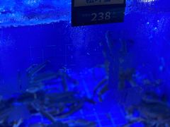 -青蓬蒸汽海鲜·深圳老字号·团建聚会(壹方城店)