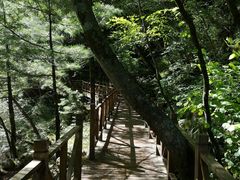 -青峰峡国家森林公园