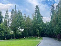 -成都南湖公园