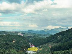 -乌石村