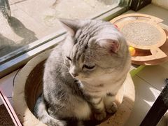 -平行世界·猫咖(首经贸店)