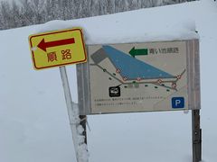 -青池