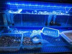 水产区-老九圆山西面馆(CBD店)