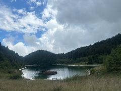 -武陵山森林公园