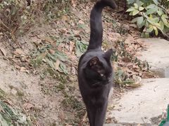 -玉泉观