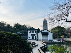 -红梅公园
