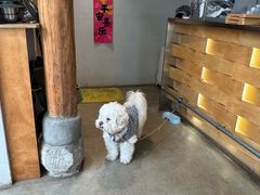 -大青树咖啡(大理古城店)