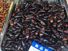 -望江饭店(13年精品店)