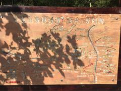 地图-青龙山国家森林公园
