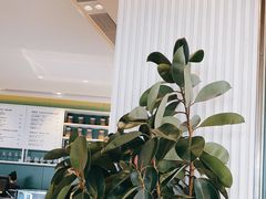 -gaga(深圳福田星河COCO Park店)