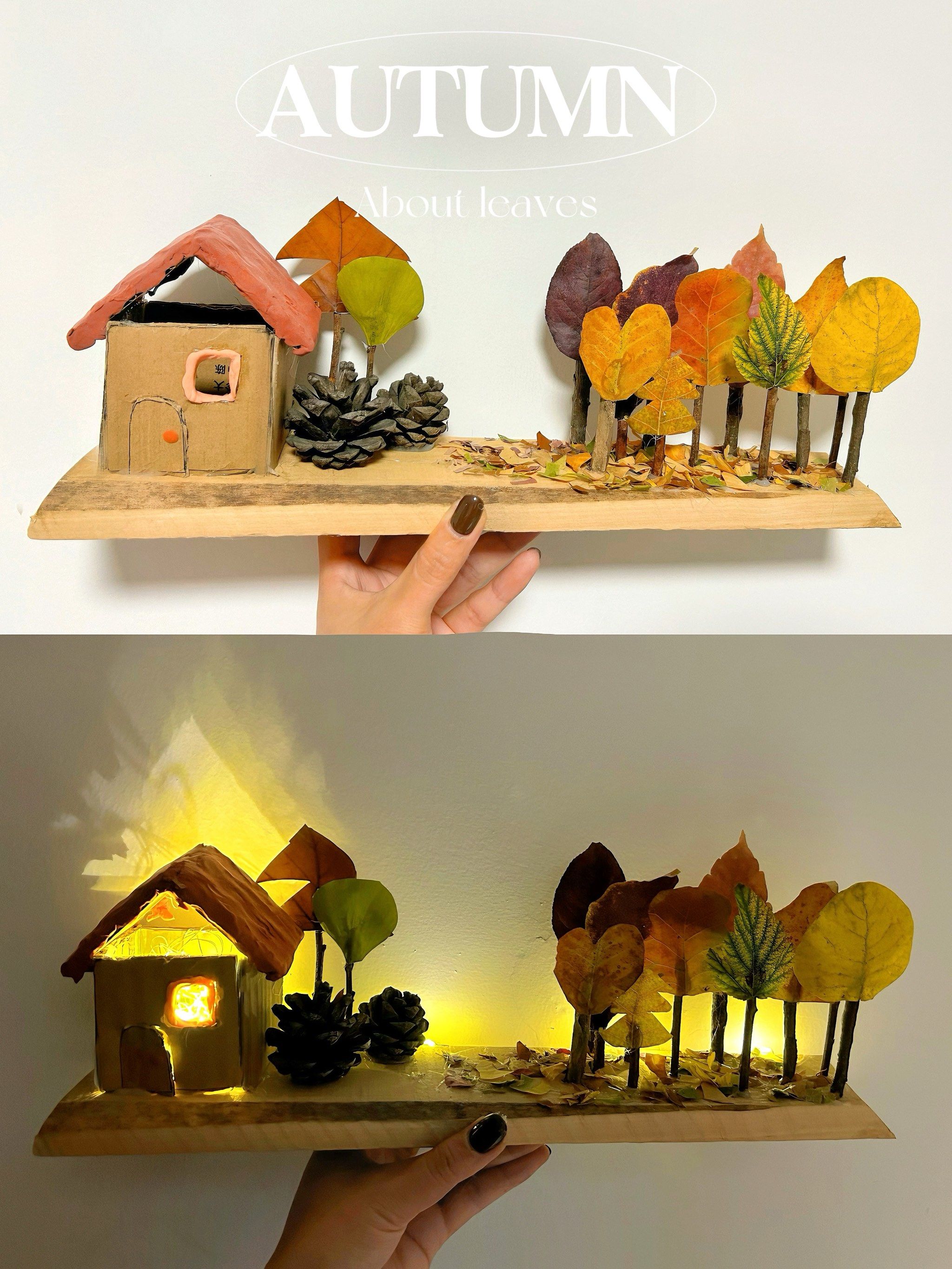 捡秋🍂捡回一座小森林🌲