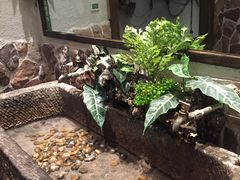 -山芋腔苏北菜(盐城滨海店)