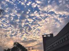 -北京师范大学(珠海校区)