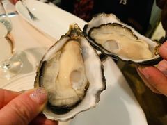 -Oyster Talks 四度蚝法餐厅
