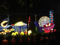 -锦江乐园舞狸花花游园会(夜场专享)