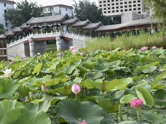 -西海子公园