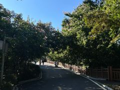 -广州市流溪河国家森林公园