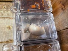 -福宝漠北·牛羊肉(广埠屯店)