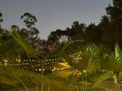 -芭厘·农庄老字号.电饭煲五指毛桃焗鸡