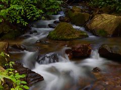 -莫里热带雨林景区