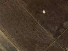 -鱼桥巷·美学川菜