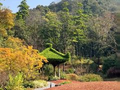 -云溪植物园