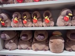 -可爱抓 COCO  GOTCHA(天津鹏欣水游城店)