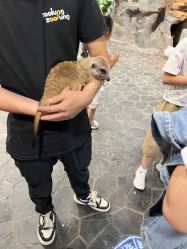 -Zoolung Zoolung动物主题公园(海信广场店)