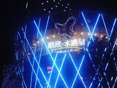 水游城-鹏欣水游城