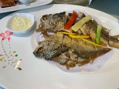 -骏莱海鲜鱼港(五角场店)