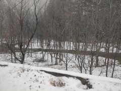-少华山国家森林公园