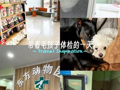 -东方动物医院·宠保定点·骨科·转诊中心(春城路·昆明站分院)