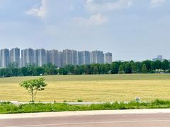 -三圣花乡旅游区