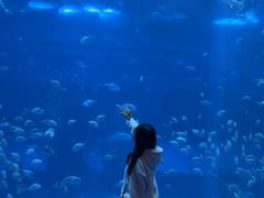 -南昌融创海世界