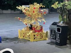 -木屋烧烤(惠阳华润小径湾店)
