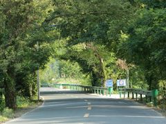 -石台牯牛降景区