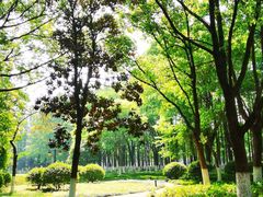 -范蠡湖公园
