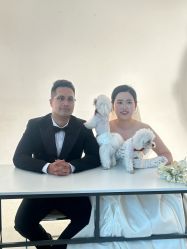 -MAO亲爱的猫婚纱摄影工作室