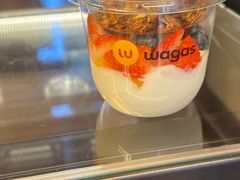 -Wagas沃歌斯(北京君太百货店)