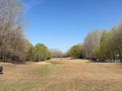 -长白岛森林公园