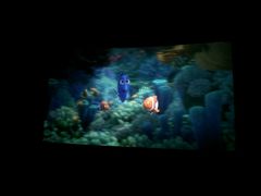 -AMG海上明珠影城(上海环球港RealDCinema店)