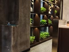 -俏湖兰·辣椒炒个肉(海沧店)