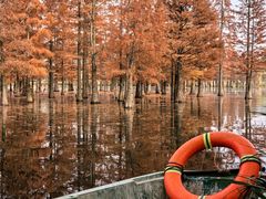 -白鹭湾湿地公园