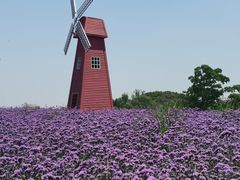 -同里国家湿地公园