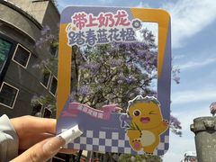 -南屏步行街
