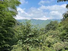 -藏龙百瀑风景区