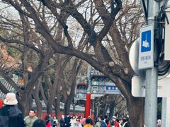 -北京国子监胡同
